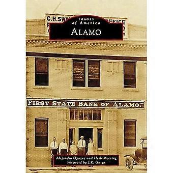 Alamo