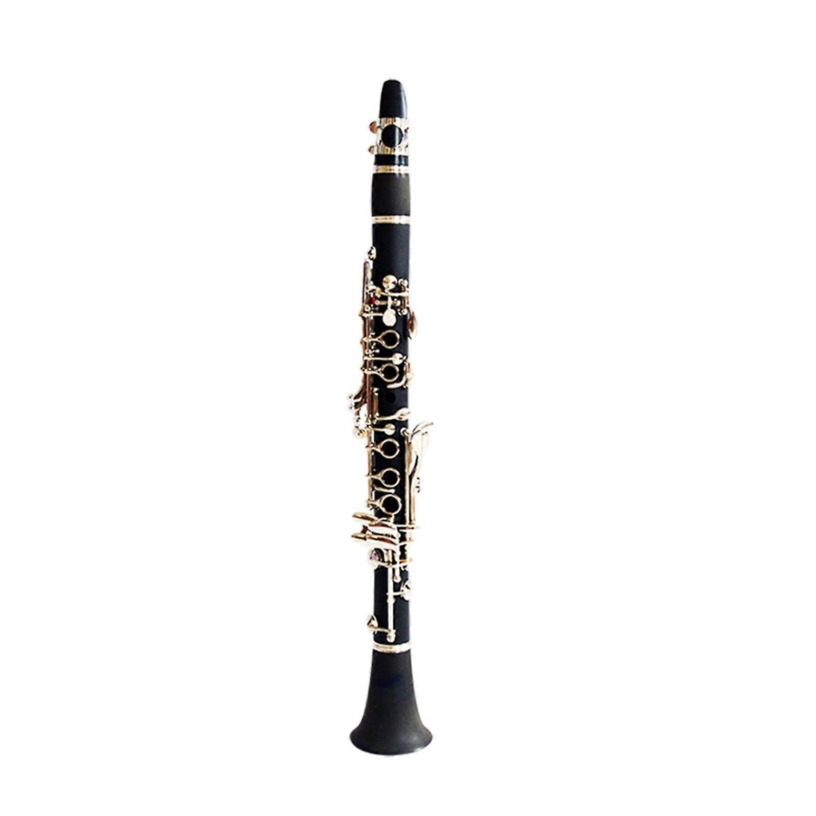 Professional 17Key Clarinet for Beginners with Warm Expressive Tone and Smooth Responsive Keys