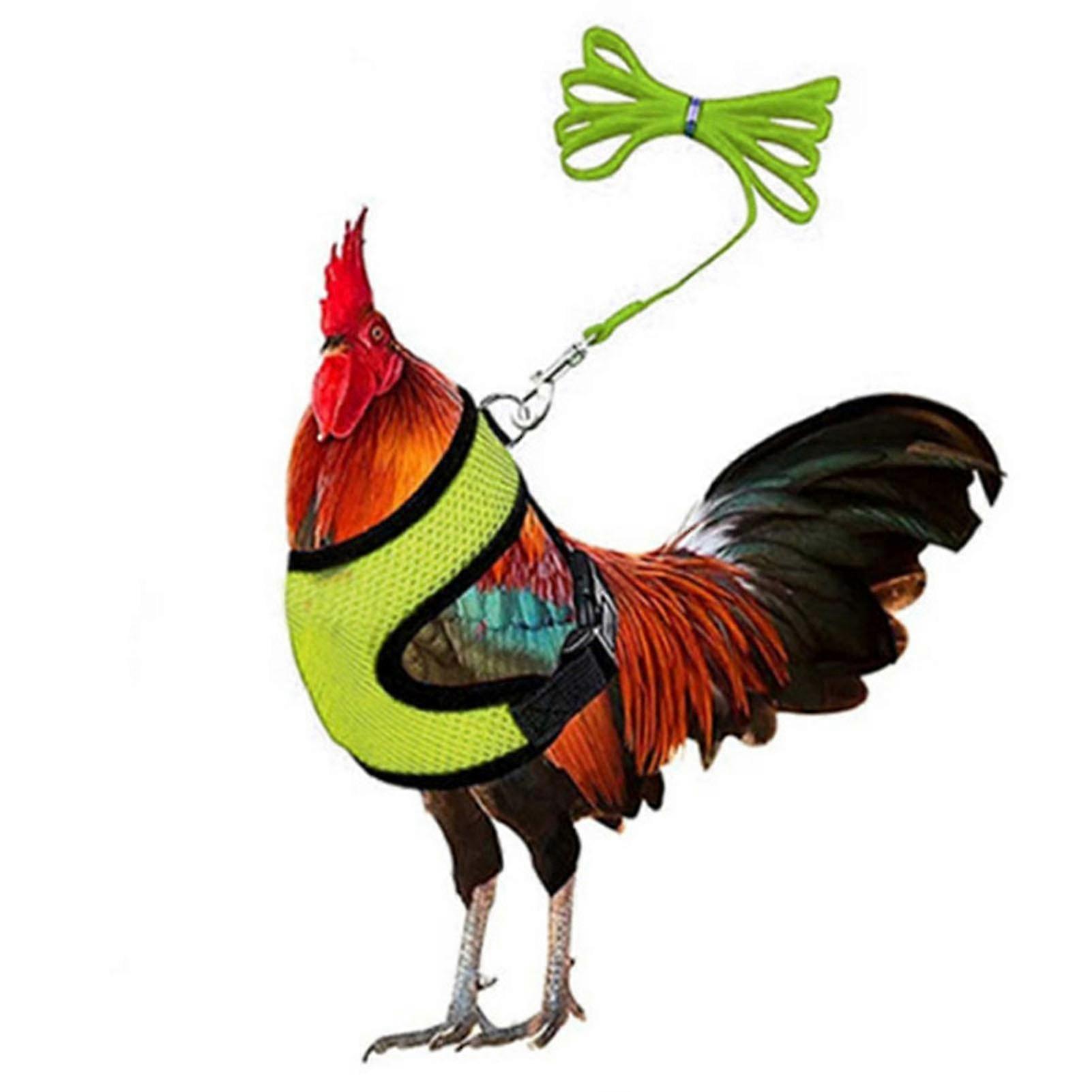 Adjustable Chicken Harness With Leash- Comfortable Hen Vest Breathable Mesh