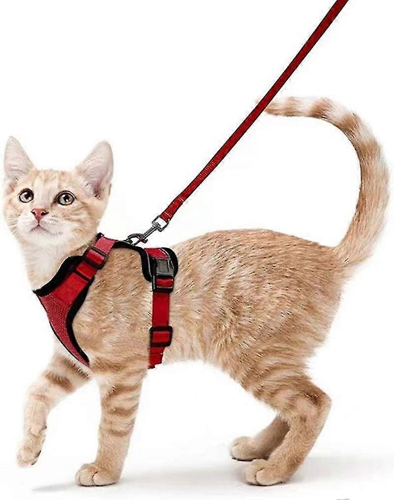 Escape Proof Soft Adjustable Vest Harnesses For Cats, Easy Control Reflective Strips