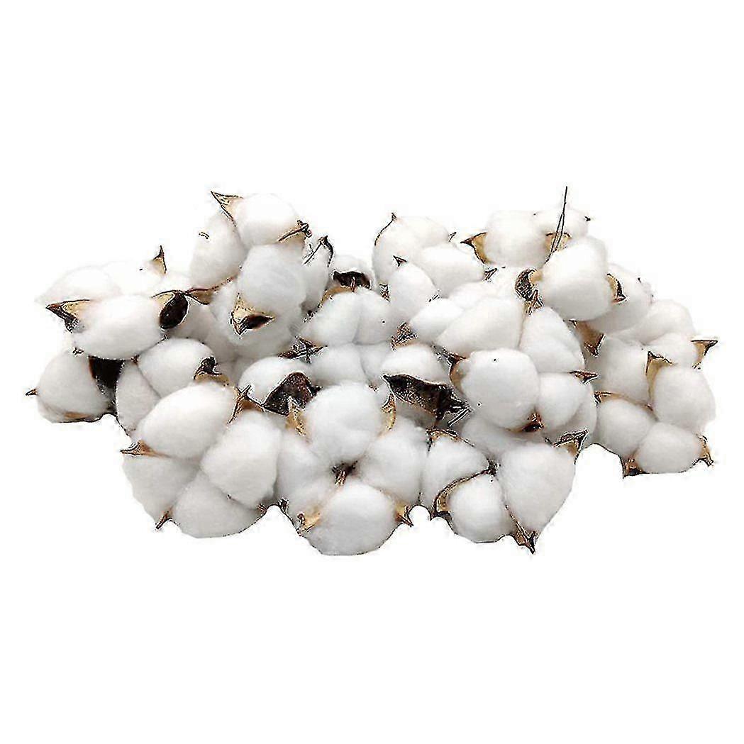 Természetes színű szárított pamut golyók - 30 db pamut gallypálca tökéletes koszorúkhoz, kézműves kellékekhez