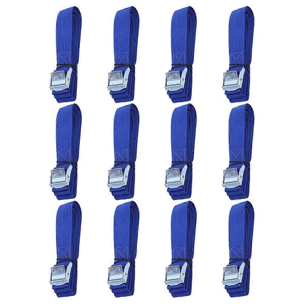 250X2.5CM Cam Buckle Tie Down Straps For Truck Drivers Offering Quick Release Functionality In Durable Material