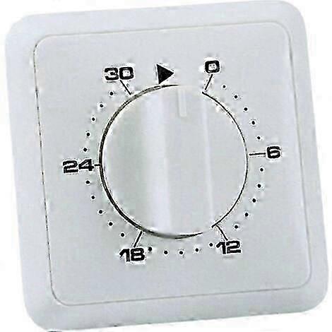 Analogue flush-mounted timer with daily program of 30 min