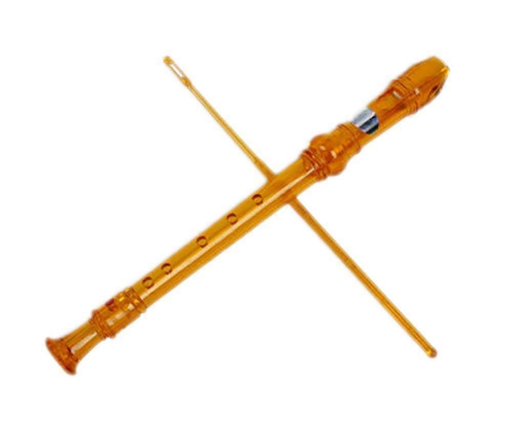 Beginner Flute for Students Easy Learning 6 Holes Lightweight with Bright Orange Finish