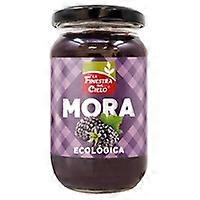 Blackberry Puree 280 g
