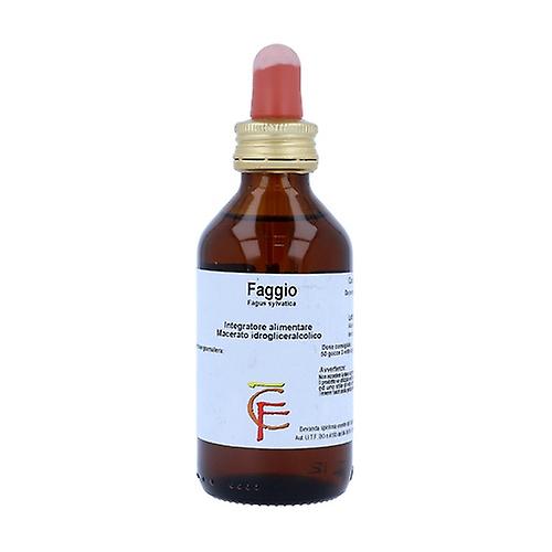 Beech Gems Mg 100 ml