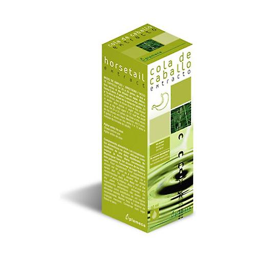 Horsetail Extract 50 ml of essential oil