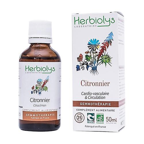 Gemmo Organic Lemon Tree 50 ml