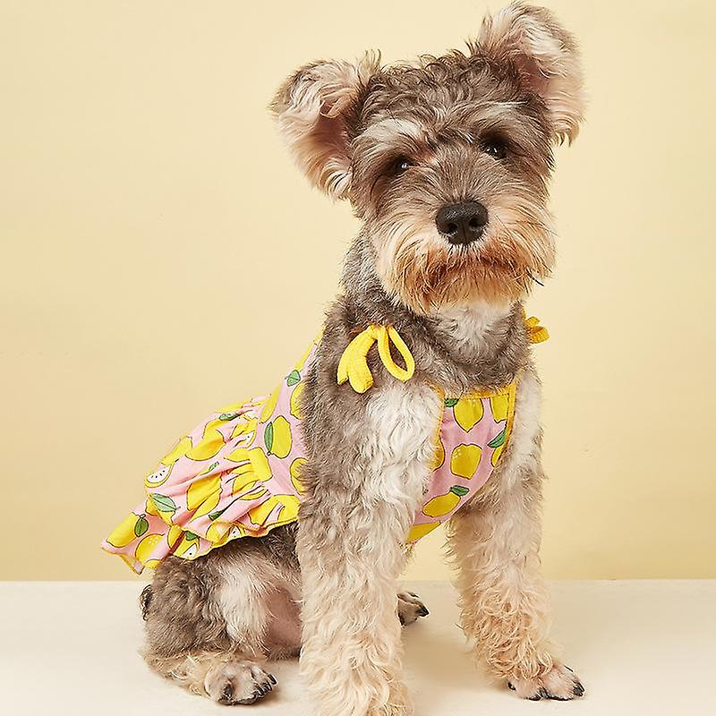 Small Pet Summer Cute Clothing Dog Clothes