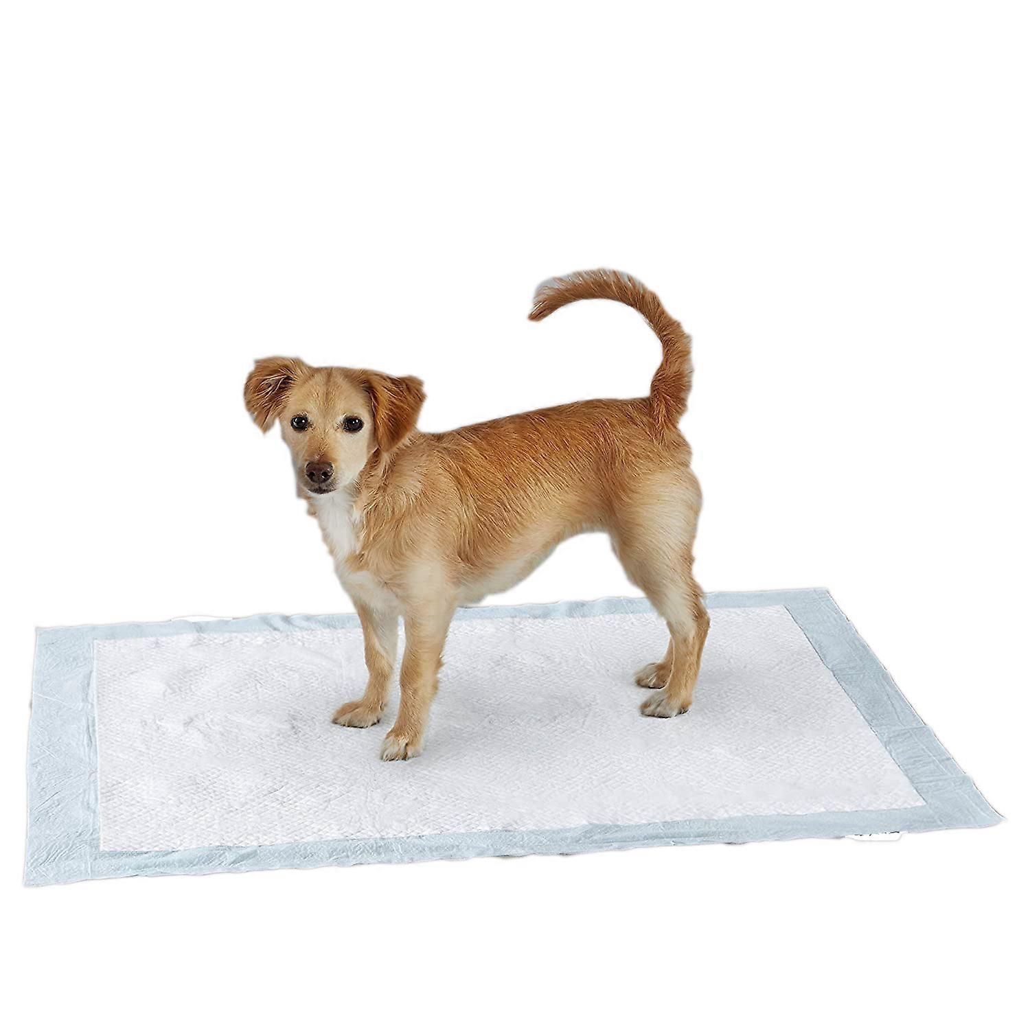 Pet Training and Puppy Pads Pee Pads for Dogs ,Super Absorbent & Leak-Proof