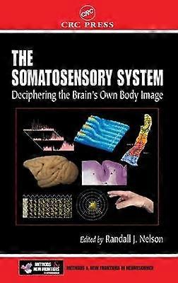 The Somatosensory System