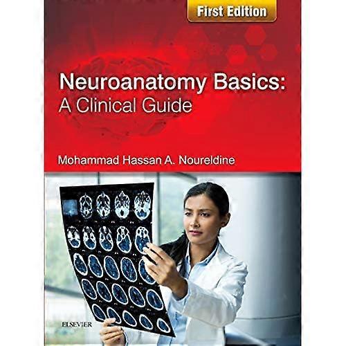 Neuroanatomy Basics: A Clinical Guide