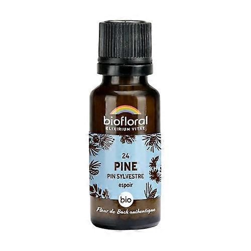 Pine Sylvestre Organic Granules 300 granules