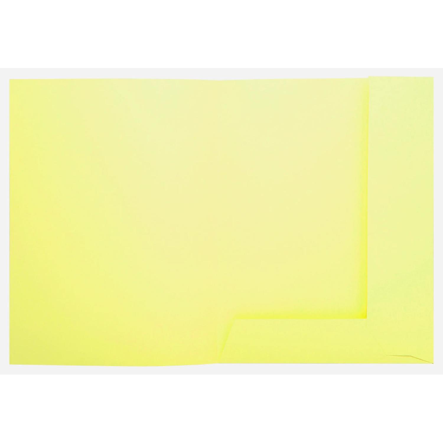 Exacompta 332005E 5x PAQ.50 subcarp. SUPER 210 2 sol. Amar.