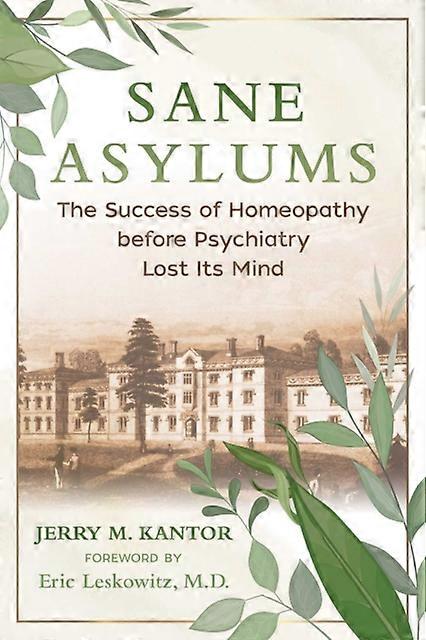 Sane Asylums by Jerry M. Kantor Paperback