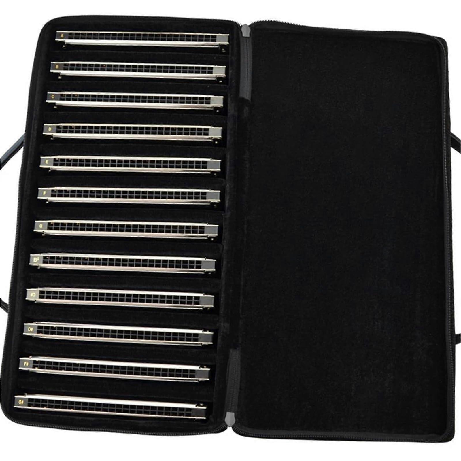 Harmonica Set 24 Hole Tremolo Professional Kit with Case Clear Notes Rich Timbre 12 Pack