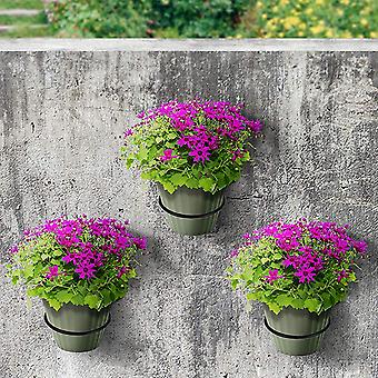 fertilizer for bamboo plants Polygon Green Lucky Bamboo Plant Fertilizer (2 Layer,3 Layer,5 Layer,S   resetagri