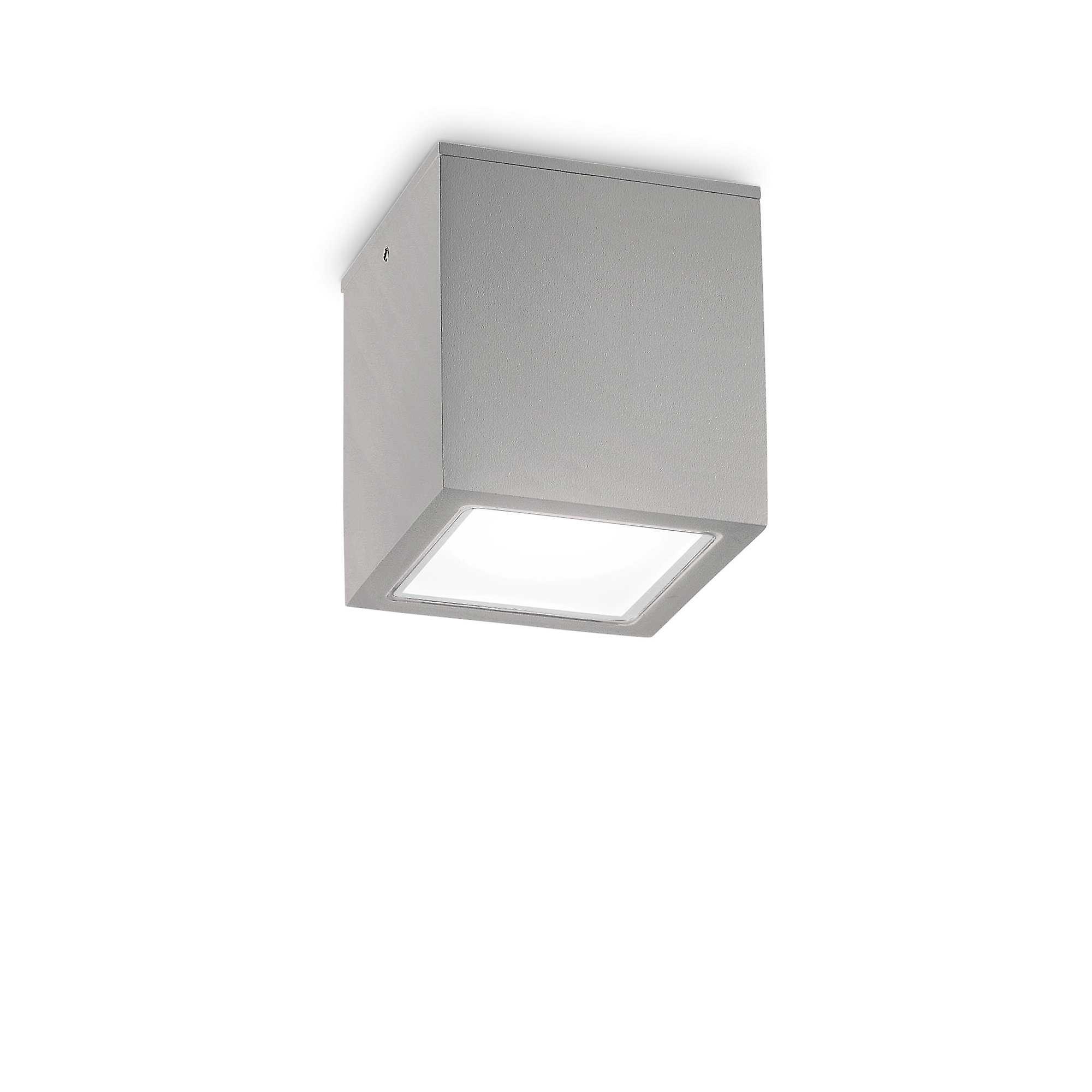 Techo Big Surface Mounted Downlight Grey IP54