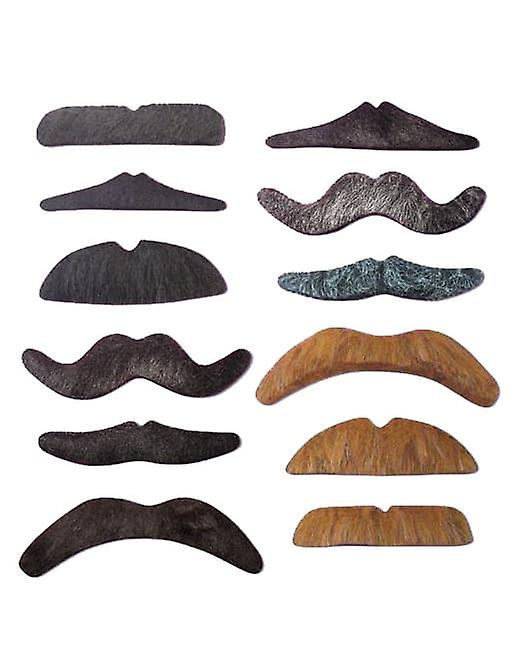 Lot 12 whiskers
