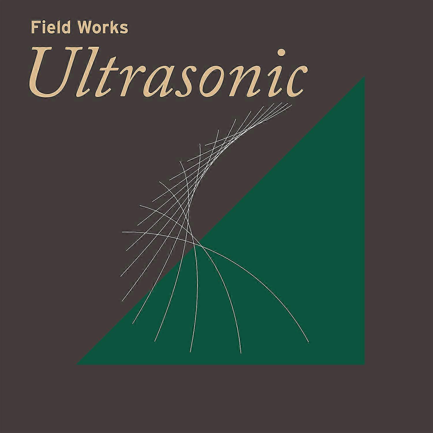 Various - Field Works: Ultrasonic / Various  [COMPACT DISCS] USA import