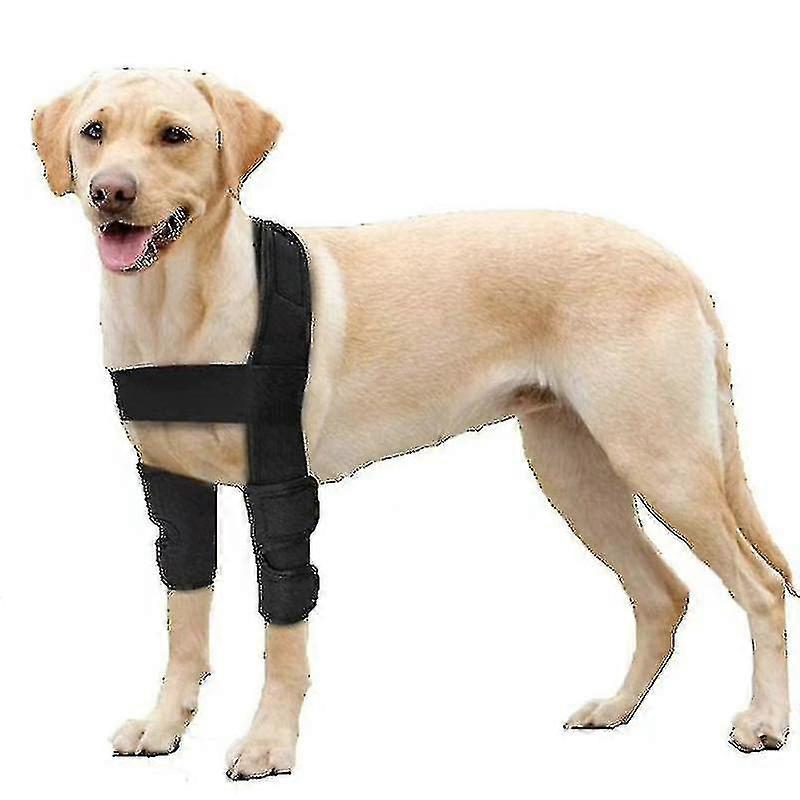 Protectores de codo para perros, transpirables, para soporte canino de codo y hombro
