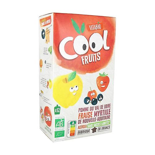 Cool Fruits Pomme de Provence Strawberry Blueberry Acerola 12 units of 90g (Strawberry - Blueberries - Apple)