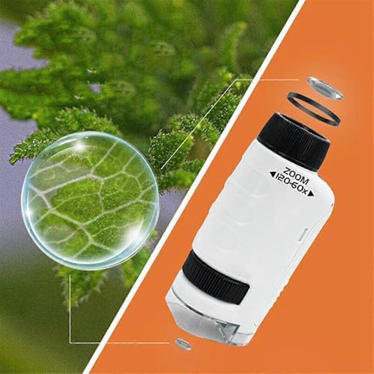 Miniscope Portable Minilabsters Pour Enfants - Microscope Jouet Bleu/blanc/vert | Découverte Scientifique