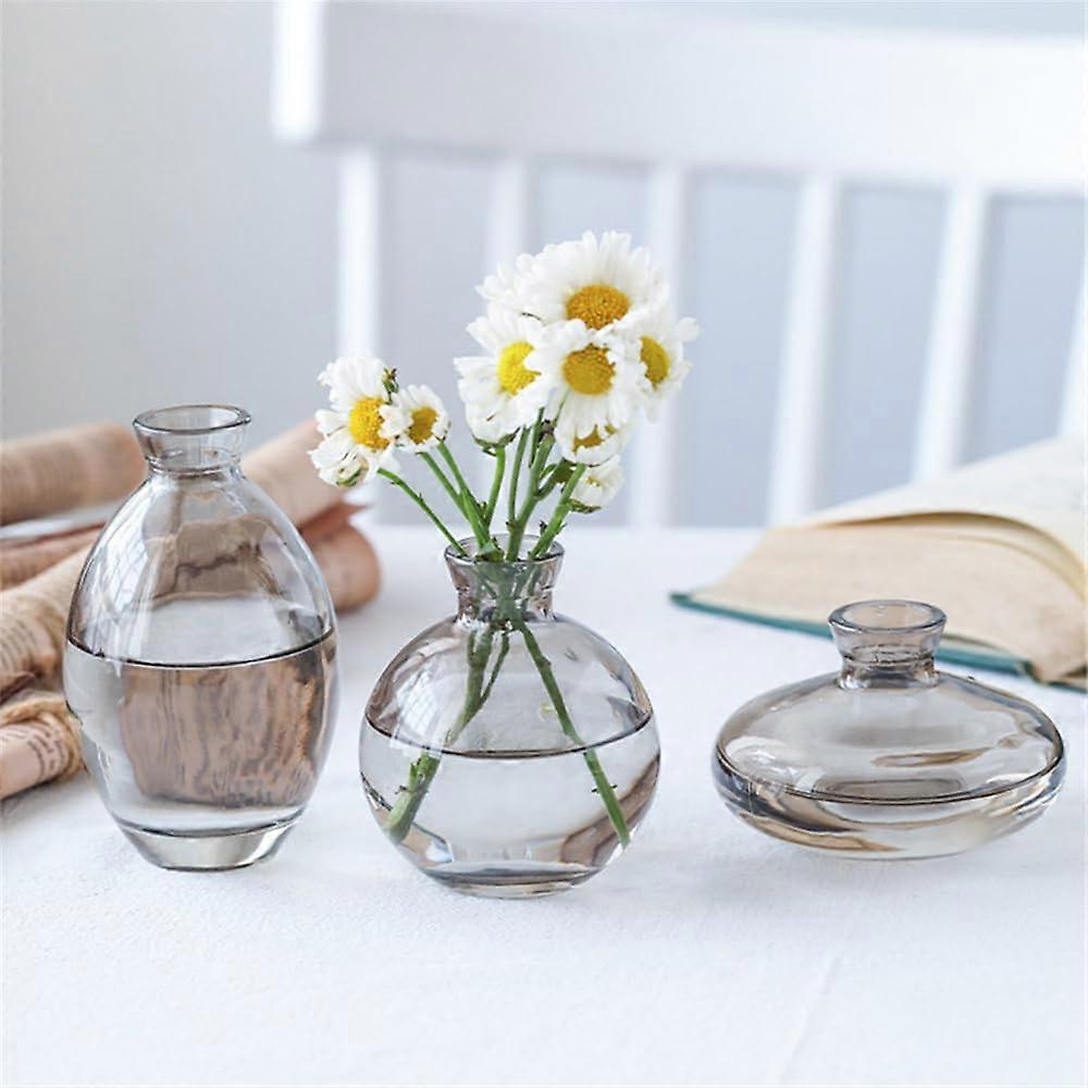 3 Set Transparent Creative Vase for Hydroponic Dried Flowers - Small Size Decorative Ornaments in Glass Design