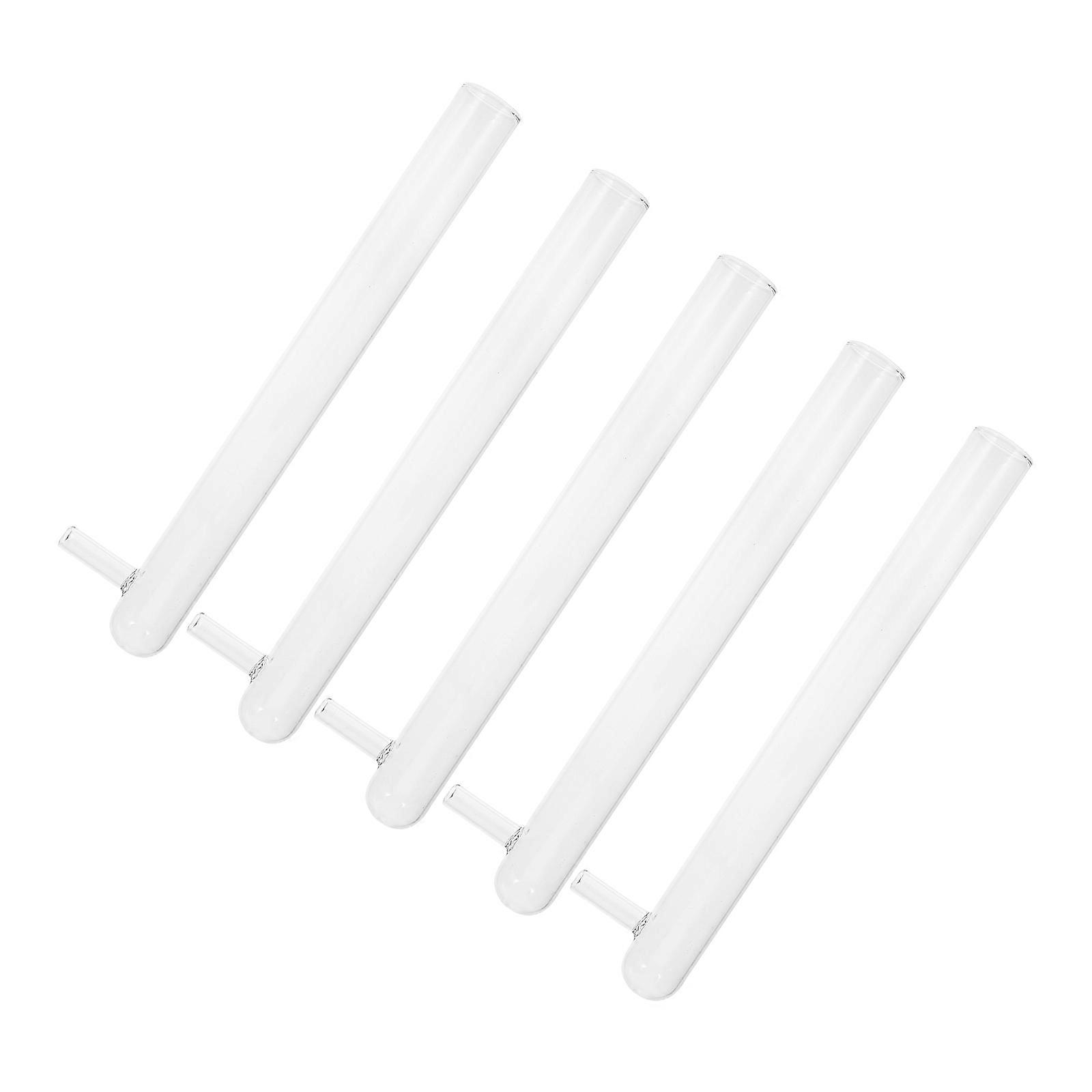 Borosilicate Tube with Plug Option for Observing Ant Behavior