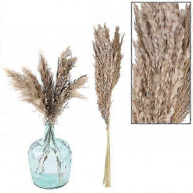 Pampa Grass Natural Indoor Outdoor Garden Decor Decorative Fruit Plants Pot Vase Nature Ornaments