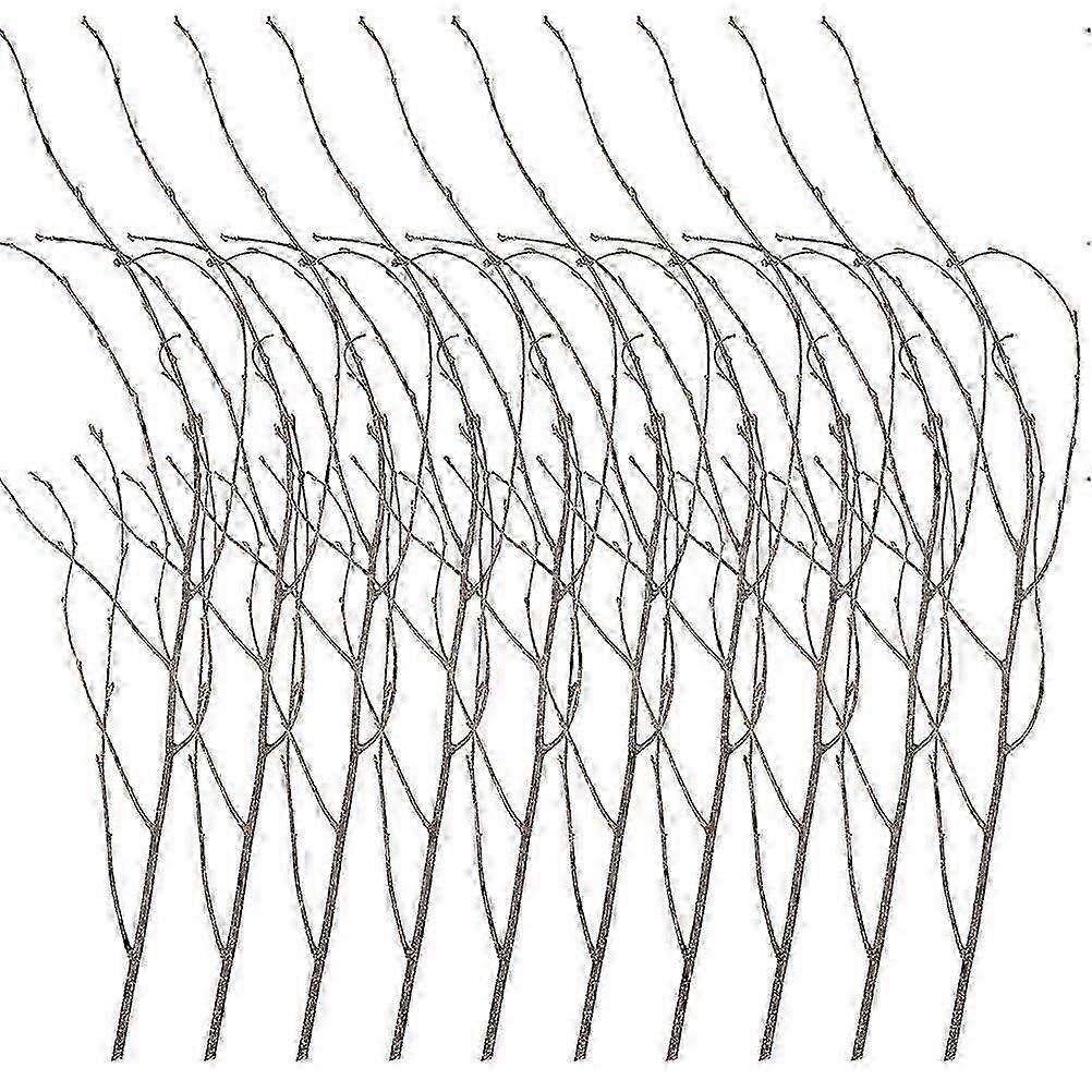12Pcs Natural Dried Tree Branches DIY Birch Branches Flower Arrangement Branch