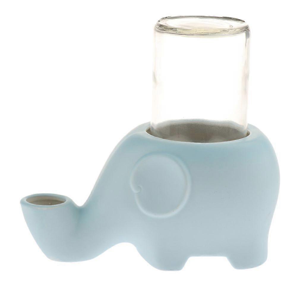 Pet Cat Water Feeder