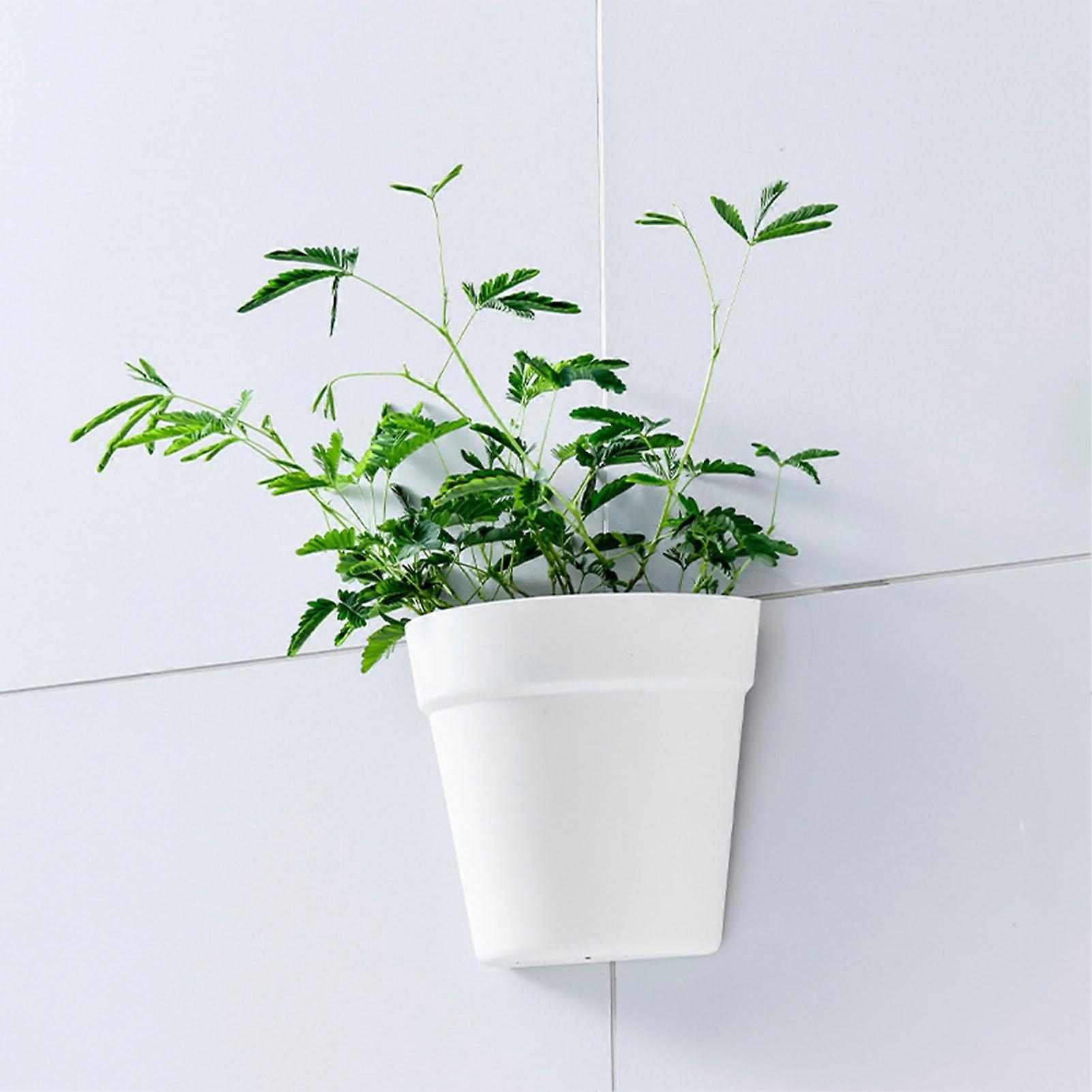 Wall Mounted Planter Plastic Half Circle Hanging Plant Pot SpaceSaving Indoor Outdoor Use