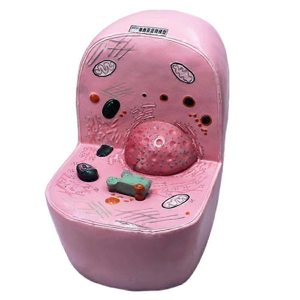 Plant Cell Structure Model for Classroom, 3D Color‑Coded Biology Teaching Model with Durable Solid Build