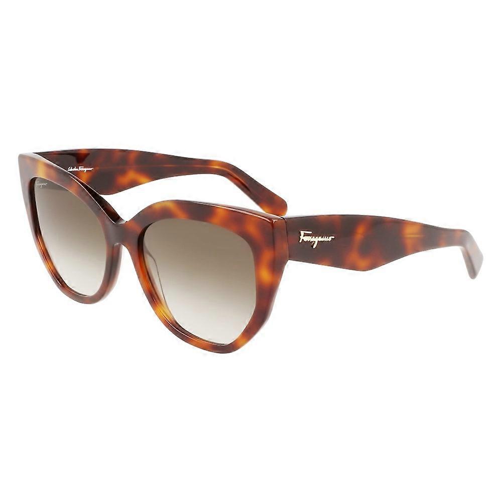 Glasses Ferragamo sf1061s240