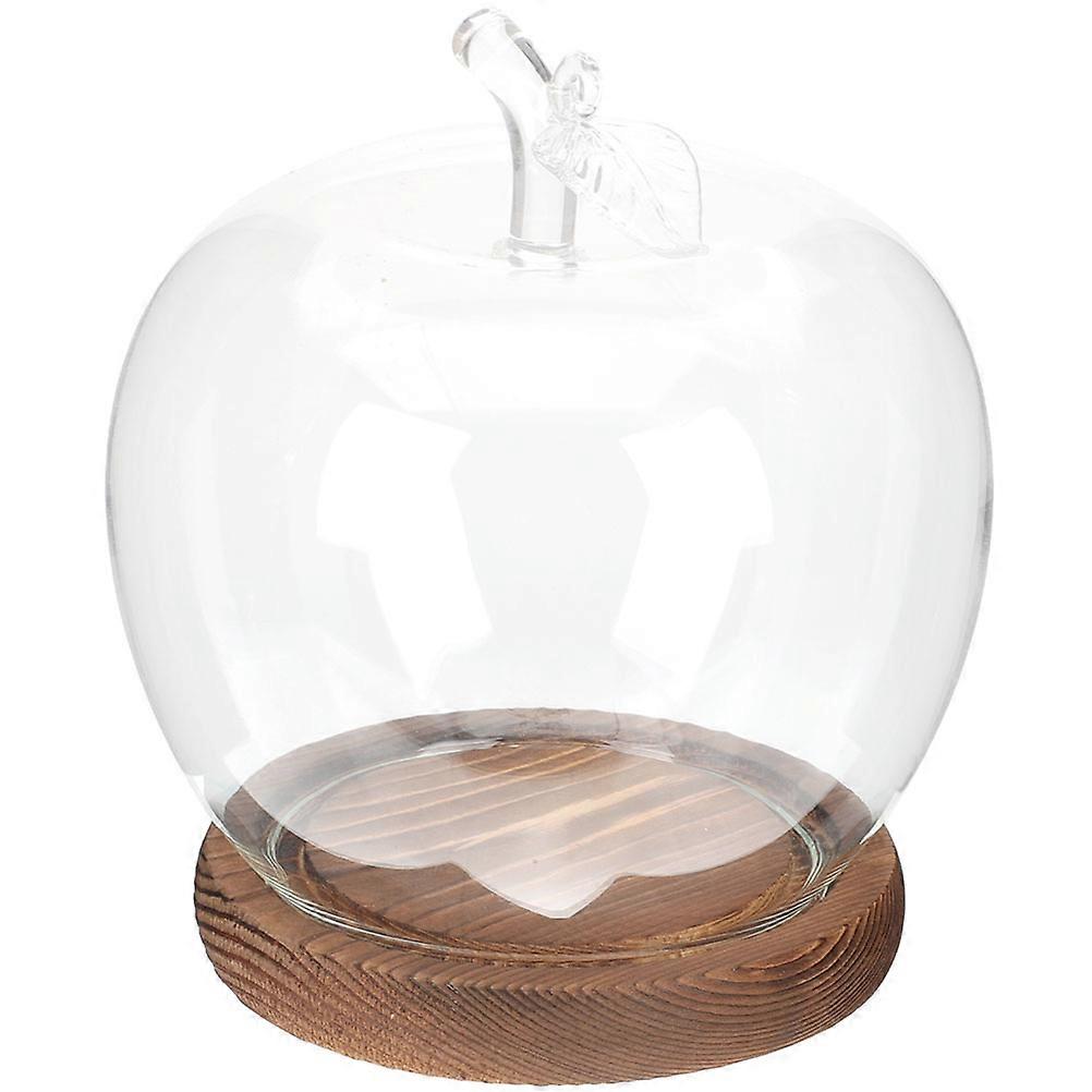 Shape Glass Dome Protective Cover for Storage