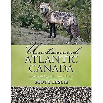 Canada Atlantico selvaggio: Esplorare i paradisi di biodiversità della regione