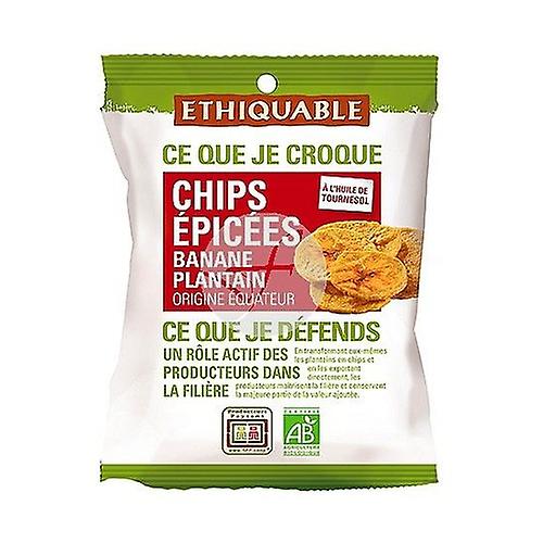 Organic salted banana chips 85 g