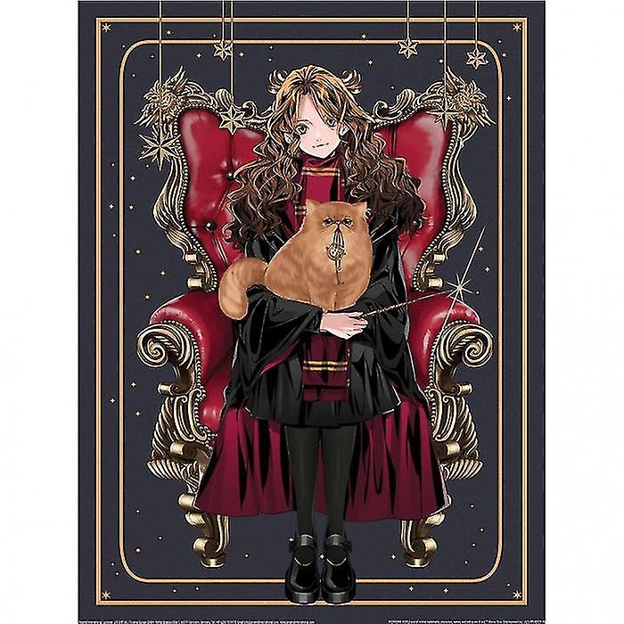 Harry Potter: Wizard Dynasty Hermione Chair Print