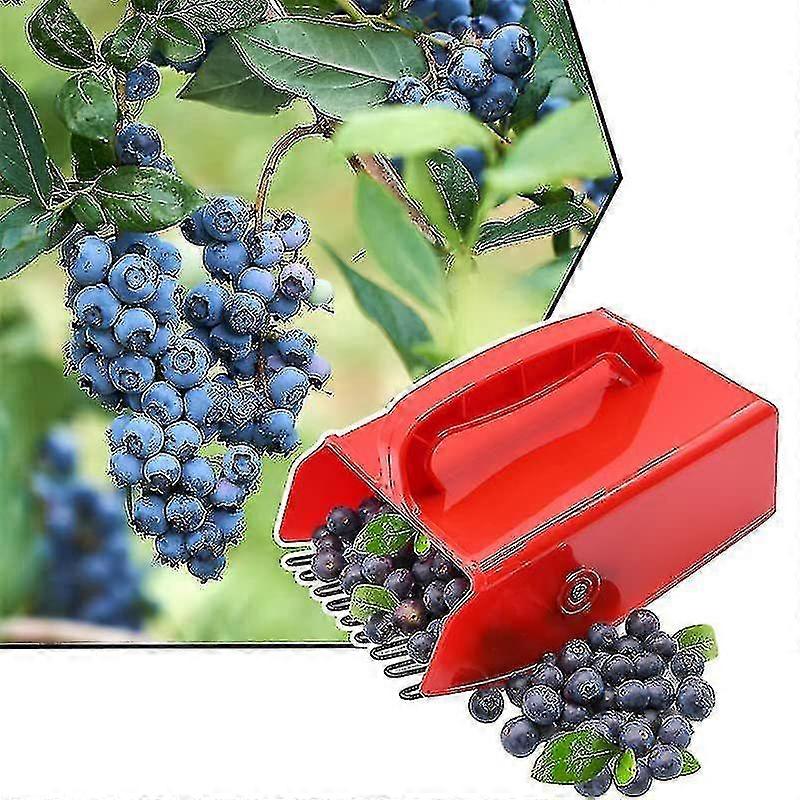 thumbnail image 2 of FAVOMOTO Blueberry Picker Tool – Stainless Steel Fruit Harvester For Garden, Easy Pick & Foldable 2 of 12