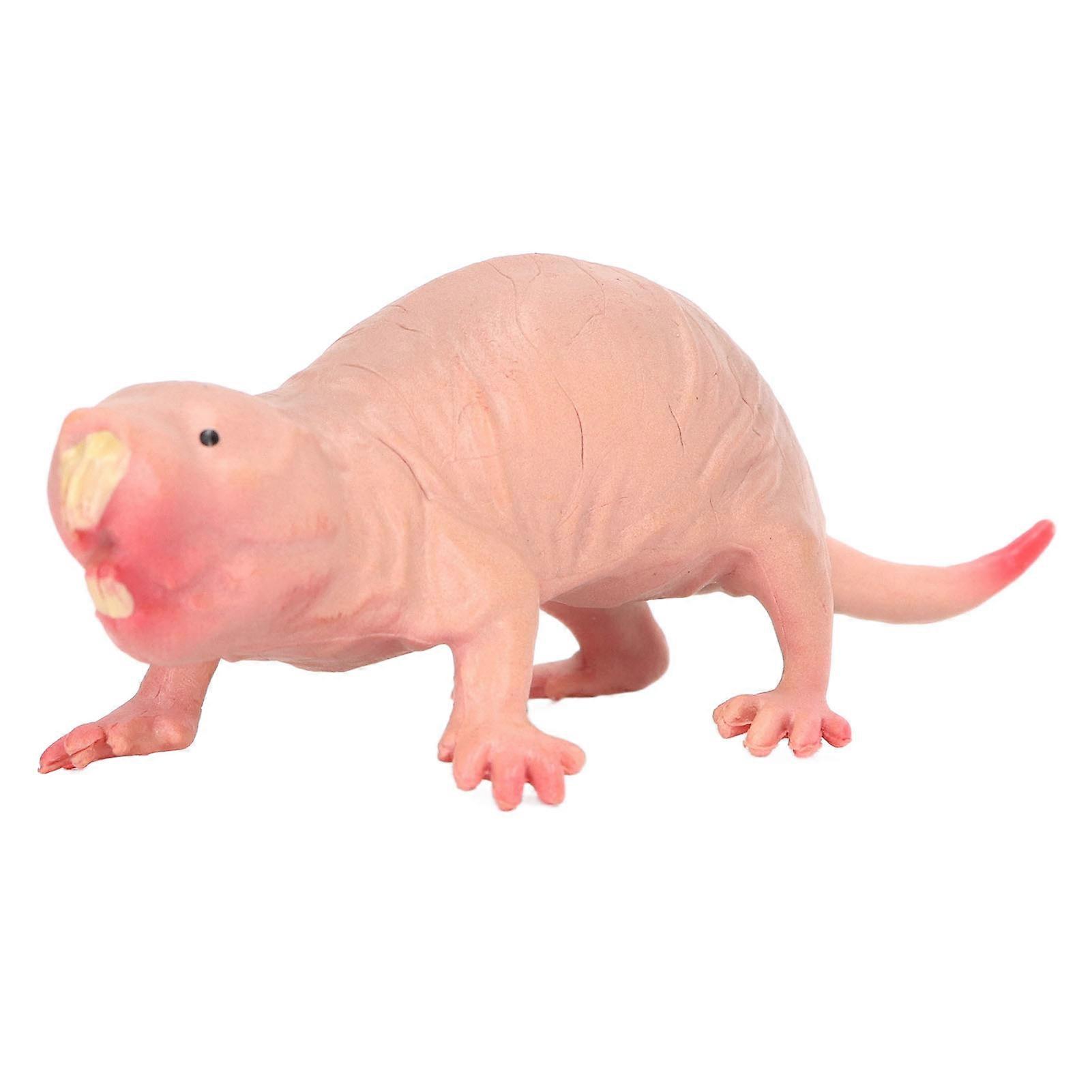 Figurine de taupe en plastique, jouet de simulation statique, modèle de taupe nue à noyau complet pour décorations de table de sable pour enfants
