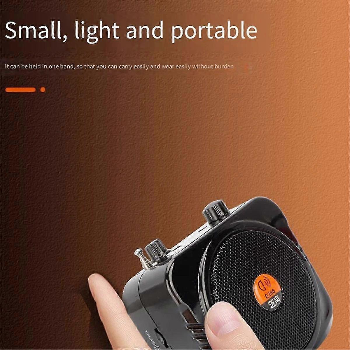 Exquisite 2.4G Wireless Microphone Bluetooth Speaker EU PLUG