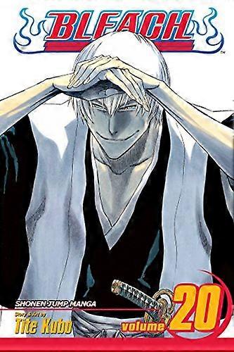 Bleach Vol. 20