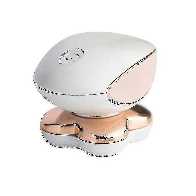 Feinschliff Makellose Beine Damen Haarentferner