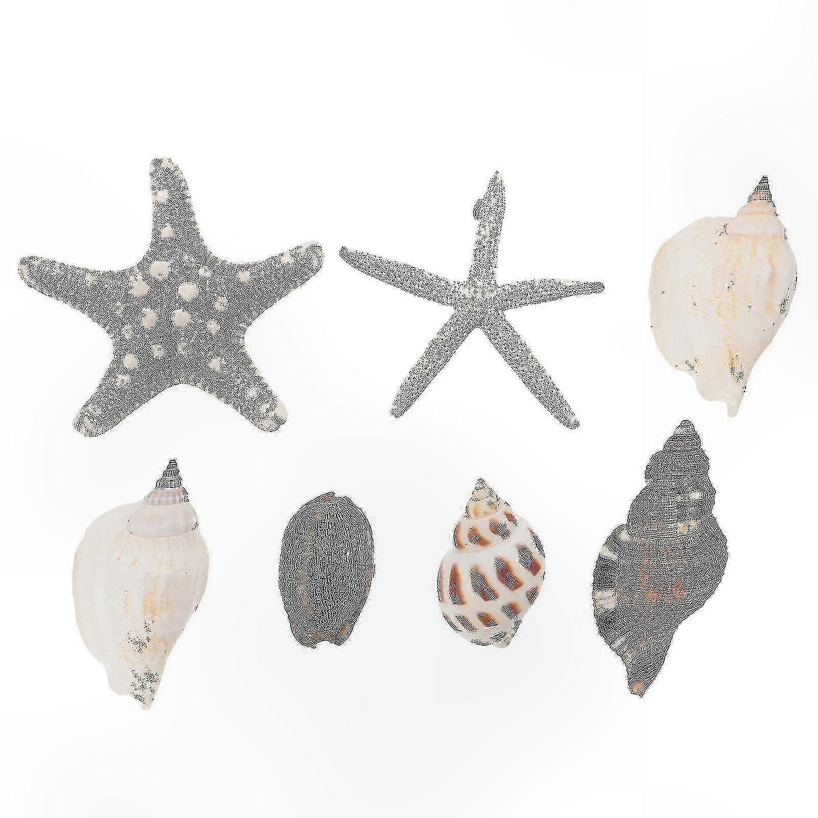 Magnetic Seashell Decals for Fridge, 7 Random Patches, Conch Shape Decorative Stickers