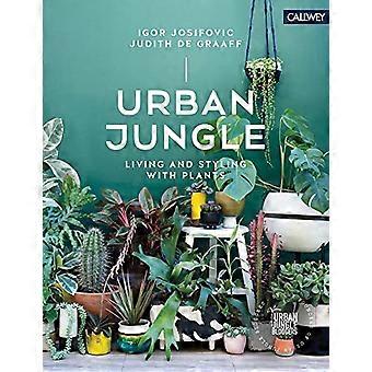 Urban Jungle Living und Styling mit Pflanzen