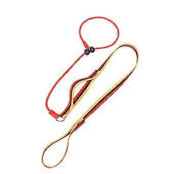 Dog Slip Lead Leash,Training Leash,Cinch Leash, No-Pull and Collar,Heavy Duty/Durable,Padded Handle,for All Breed