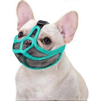 Bulldog-Specific Adjustable Mesh Muzzle