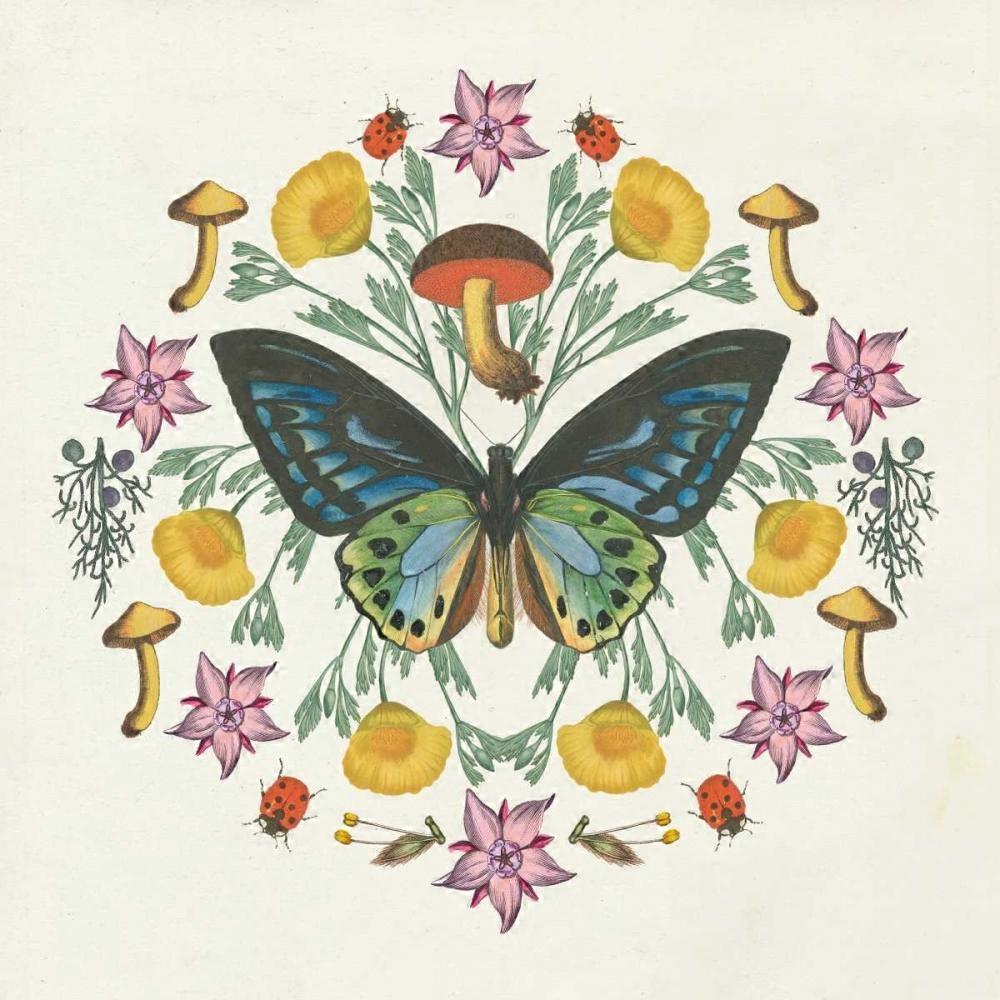 Butterfly Mandala IV Poster