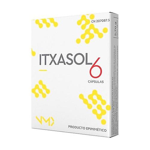 Itxasol 6 urinary system 6 capsules